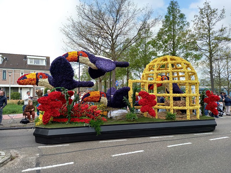 Bloemencorso op zaterdag 18 april: bereikbaarheid Sportpark Elsgeest